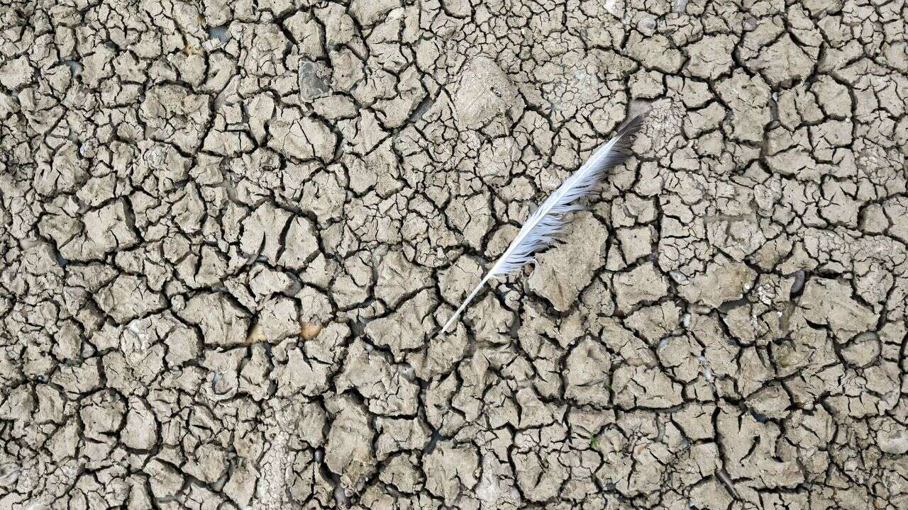 Sécheresse : à Draguignan, des centaines de personnes se réunissent pour 