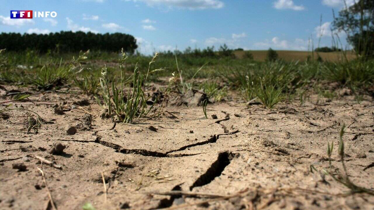 Dérèglement climatique : sept Français sur dix craignent de manquer d'eau à l'avenir