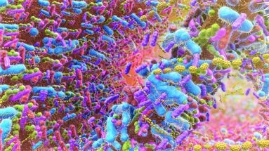 Saviez-vous que votre corps contient beaucoup plus de bactéries que de cellules ?