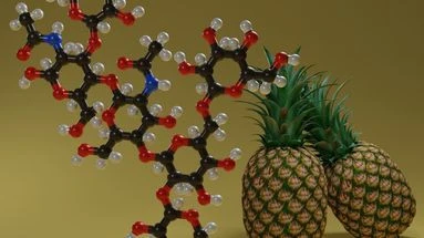 Bromélaïne : ce qu'on sait sur les bienfaits de cette enzyme naturelle