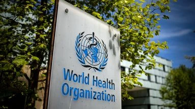 Épidémie d'Ebola : risque épidémique 