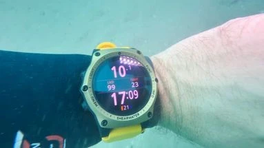 Canicule marine : au large d'Agde, les plongeurs constatent la surchauffe de la Méditerranée