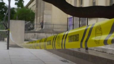Impressionnant vol d'or au Muséum d'Histoire naturelle : 