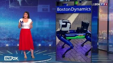 Info/Infox : des chiens-robots scannent-ils les visages des supporters ?