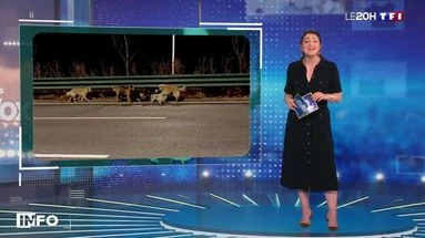 Info/Infox : jusqu'où on invente des histoires pour récolter des vues sur les réseaux sociaux ?
