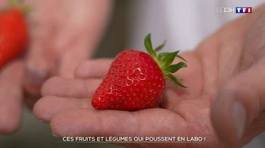 Ces fruits et légumes qui poussent en labo !