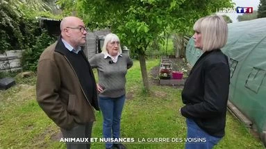 Animaux et nuisances : la guerre des voisins