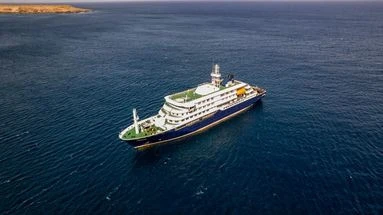 Qu'est-ce que le hantavirus, suspecté d'être à l'origine de la mort de trois passagers d'une croisière ?