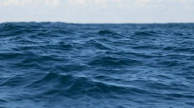 Sommet sur les océans à Nice : ce que dit le nouveau baromètre Starfish, dévoilé pour l'occasion