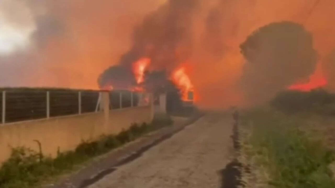 VIDÉO - Pyrénées-Orientales : un violent incendie se déclare près d'Argelès-sur-Mer, des évacuations en cours