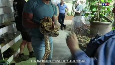 Ces animaux exotiques ont leur refuge