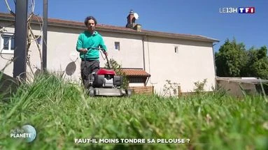 Faut-il moins tondre sa pelouse ?