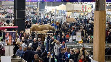 Salon de l'agriculture : fréquentation en légère hausse et sérénité 