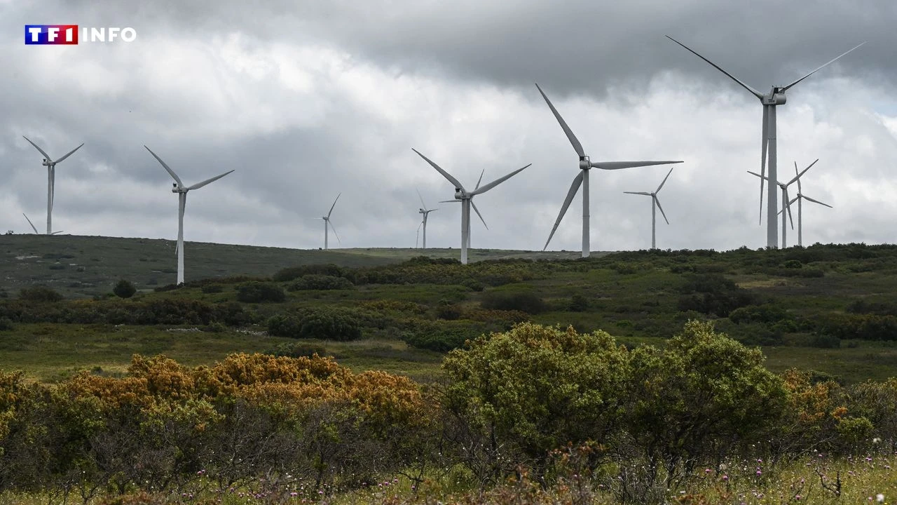 Lors des tempêtes Céline et Ciarán, les éoliennes françaises étaient-elles vraiment à l'arrêt ?