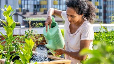 Comment prendre soin de ses plantes lorsque l’on part en vacances ?