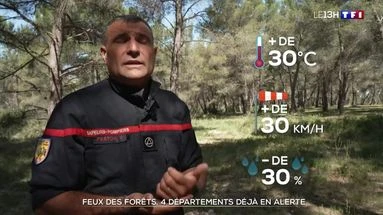 Feux de forêts : quatre départements déjà en alerte