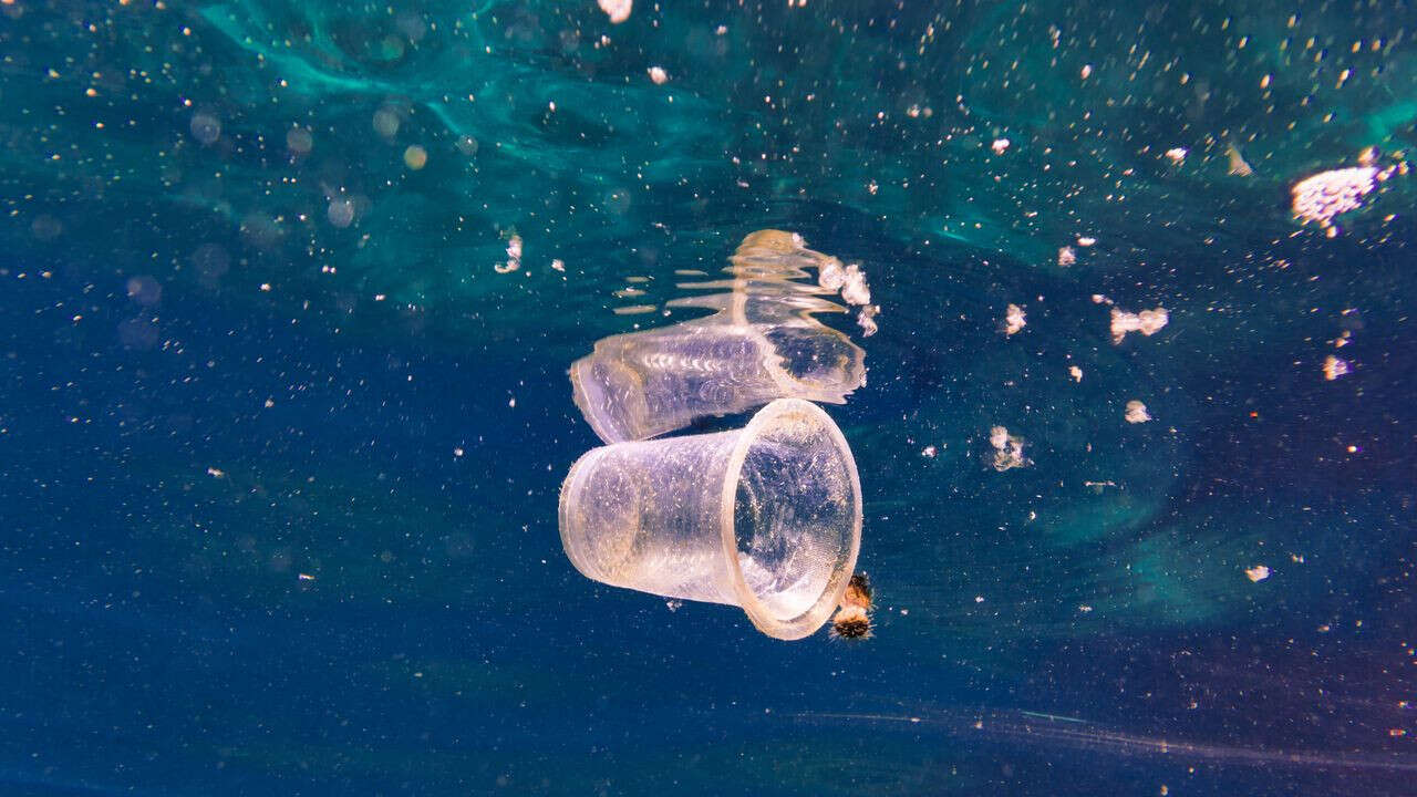 Pollution plastique : quels pays polluent le plus les océans ?