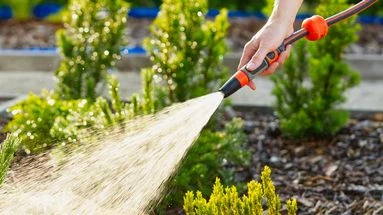 Surtout, n'arrosez jamais vos plantes à cette heure-ci, sous peine de leur faire plus de mal que de bien