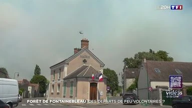 Forêt de Fontainebleau : des départs de feu volontaires ?