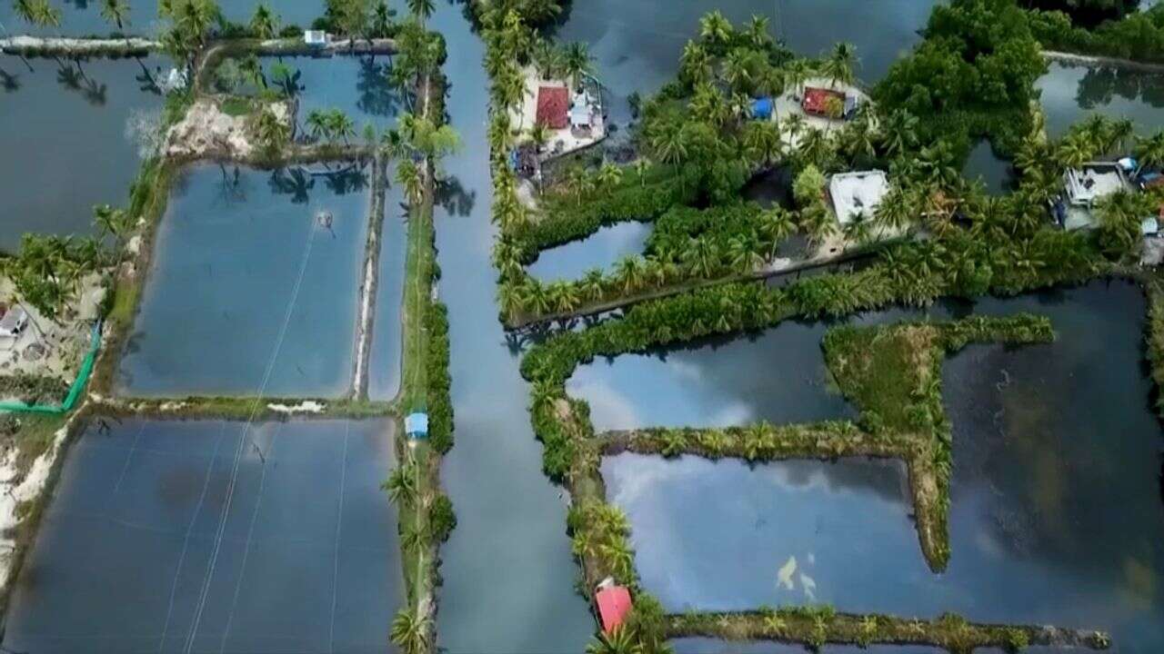 VIDÉO - Labyrinthes de lagune, parc flottant : voguez entre les merveilles naturelles de l'Inde