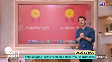 Allô le doc : Antibiotiques, cette molécule désarme les bactéries