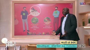 Allô le doc : Moustiques, attention aux maladies
