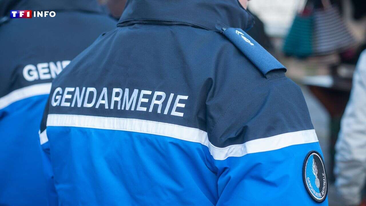 Haute-Savoie : un enfant de 3 ans retrouvé mort, son père en garde à vue pour 