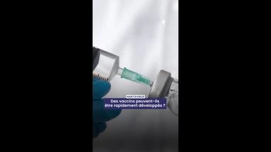 Hantavirus : où en est la recherche sur la vaccination contre la maladie ?
