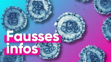 Hantavirus : attention à ces fausses infos