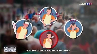 Hantavirus : les questions que vous vous posez