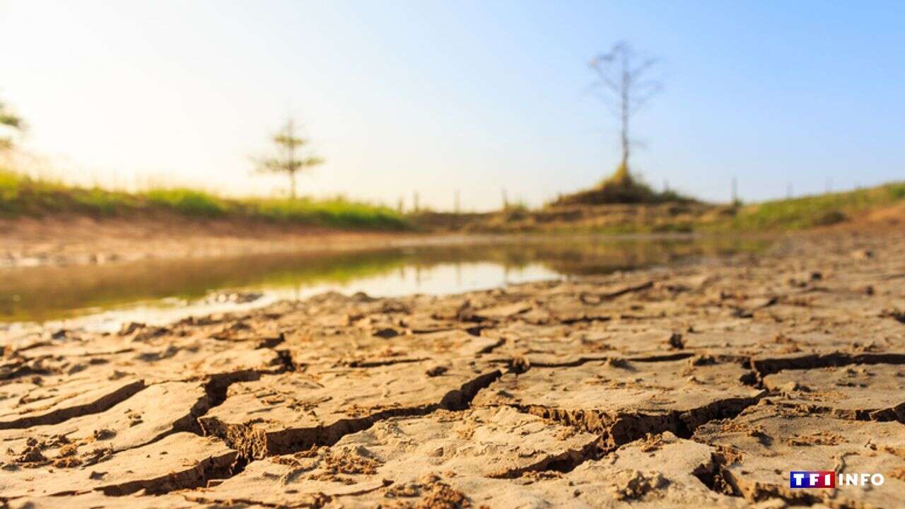 Chaleur inhabituelle et manque de pluie : la France déjà sous la menace de la sécheresse en 2024 ?