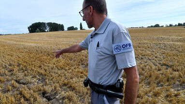 Crise agricole : finalement, les agents de l'OFB garderont leur arme pour assurer les contrôles