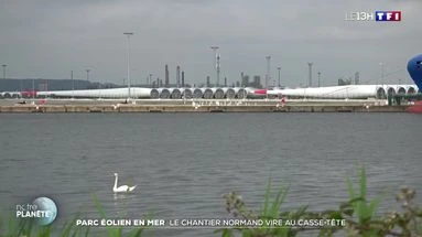 Parc éolien en mer : le chantier normand vire au casse-tête
