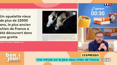 L’expresso : Le plus vieux chien de France, recherche un pharmacien désespérément et Victor Wembanyama s’est rasé le crâne