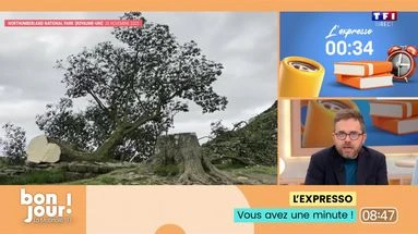 L'expresso : La sulfateuse à PV de Marseille, le moa géant pourrait être ressuscité et 4 ans de prison pour l’abattage d’un arbre