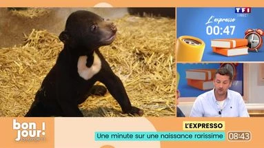 L'expresso : La mésaventure d'Annick Petrus, une naissance rarissime et le retour du Ice Bucket Challenge