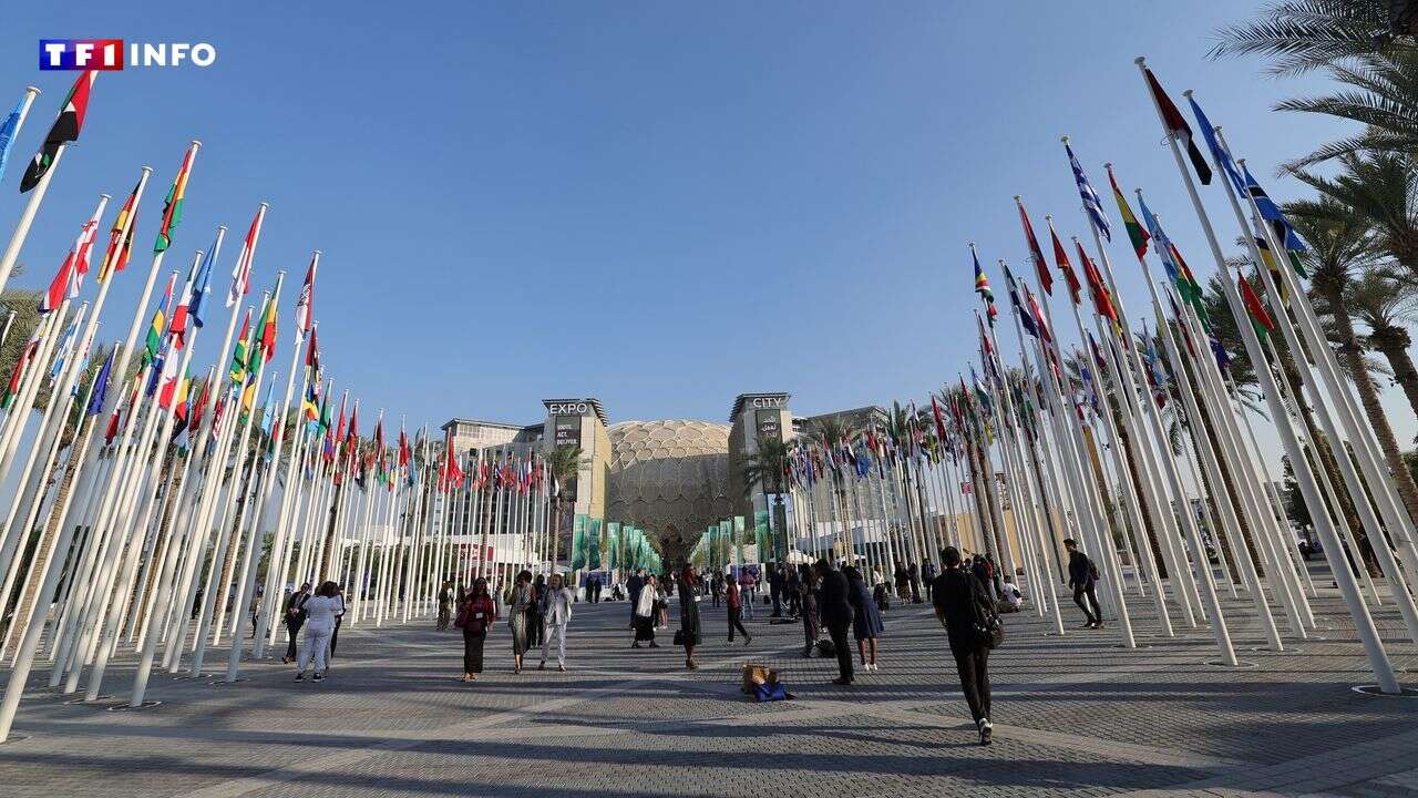 COP28 : tous mécontents après le projet d'accord proposé par le président émirati ?