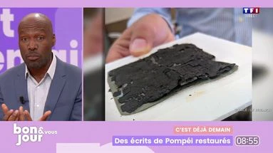 Une véritable prouesse technologique... Un papyrus calciné de Pompéi déchiffré grâce à l'intelligence artificielle
