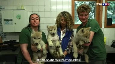 Des naissances si particulières