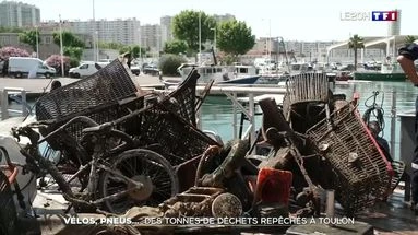 Vélos, pneus... : des tonnes de déchets repêchés à Toulon