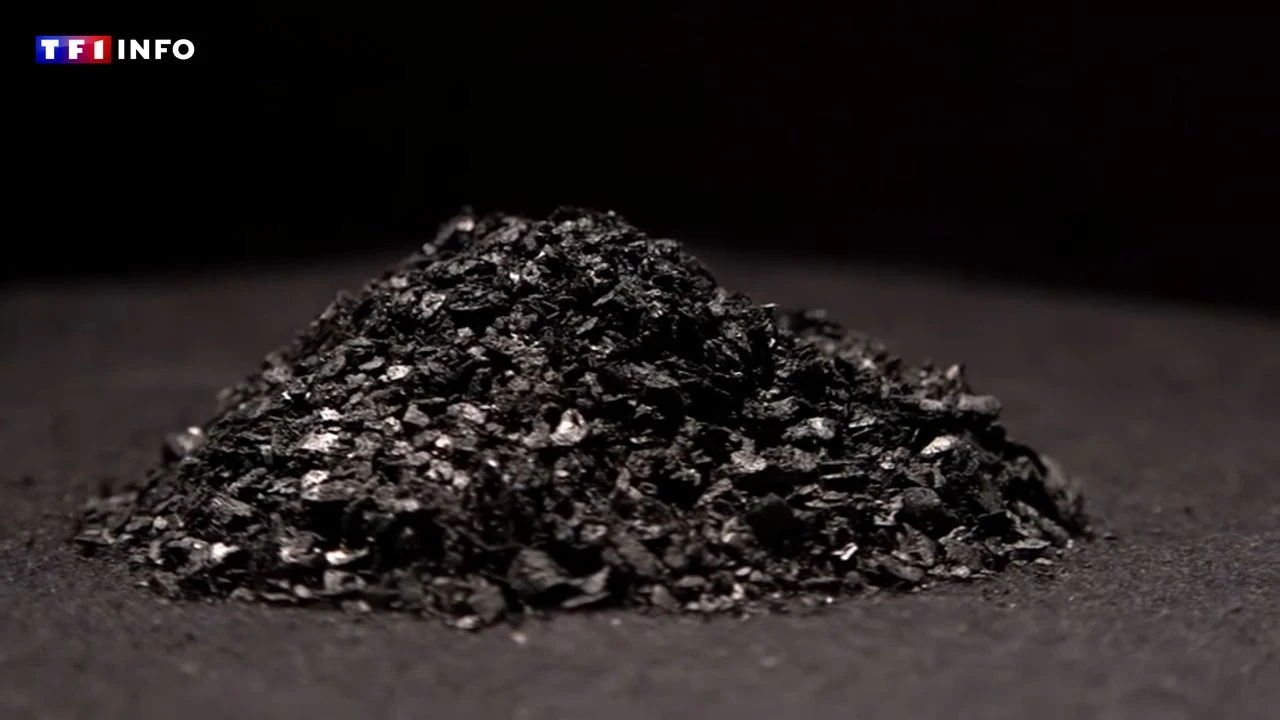 VIDÉO - Transformé en béton ou en engrais, le biochar, une solution pour stocker le CO2 ?