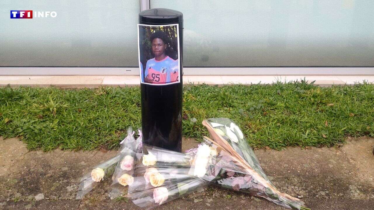 Mort de Kendy, 15 ans, dans le Val-d'Oise : cinq personnes en garde à vue, dont quatre mineurs