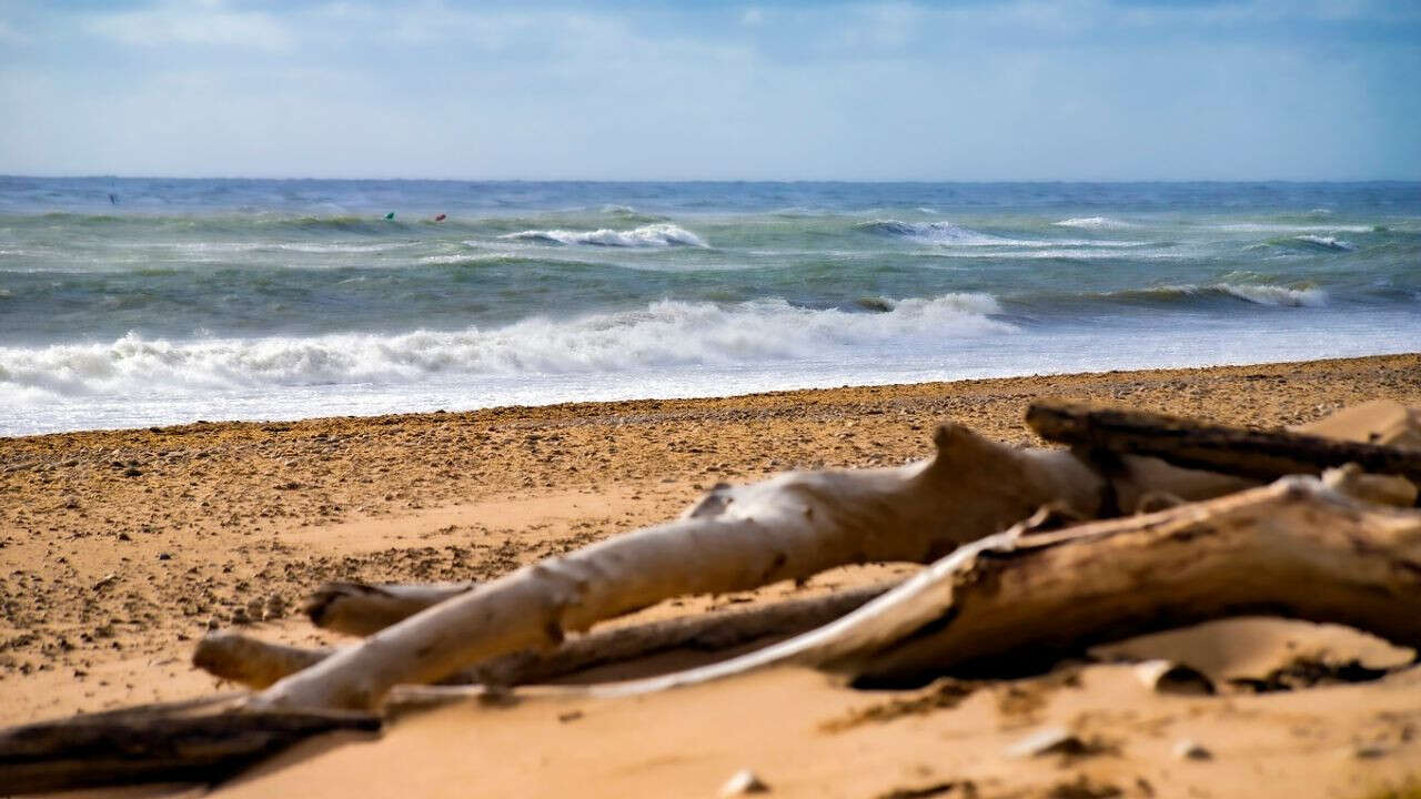 VIDÉO - Érosion : à Oléron, les plages ont encore reculé de plusieurs mètres