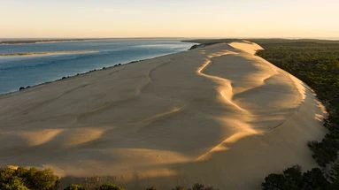 La dune du Pilat en partie fermée au public après la découverte de déchets polluants
