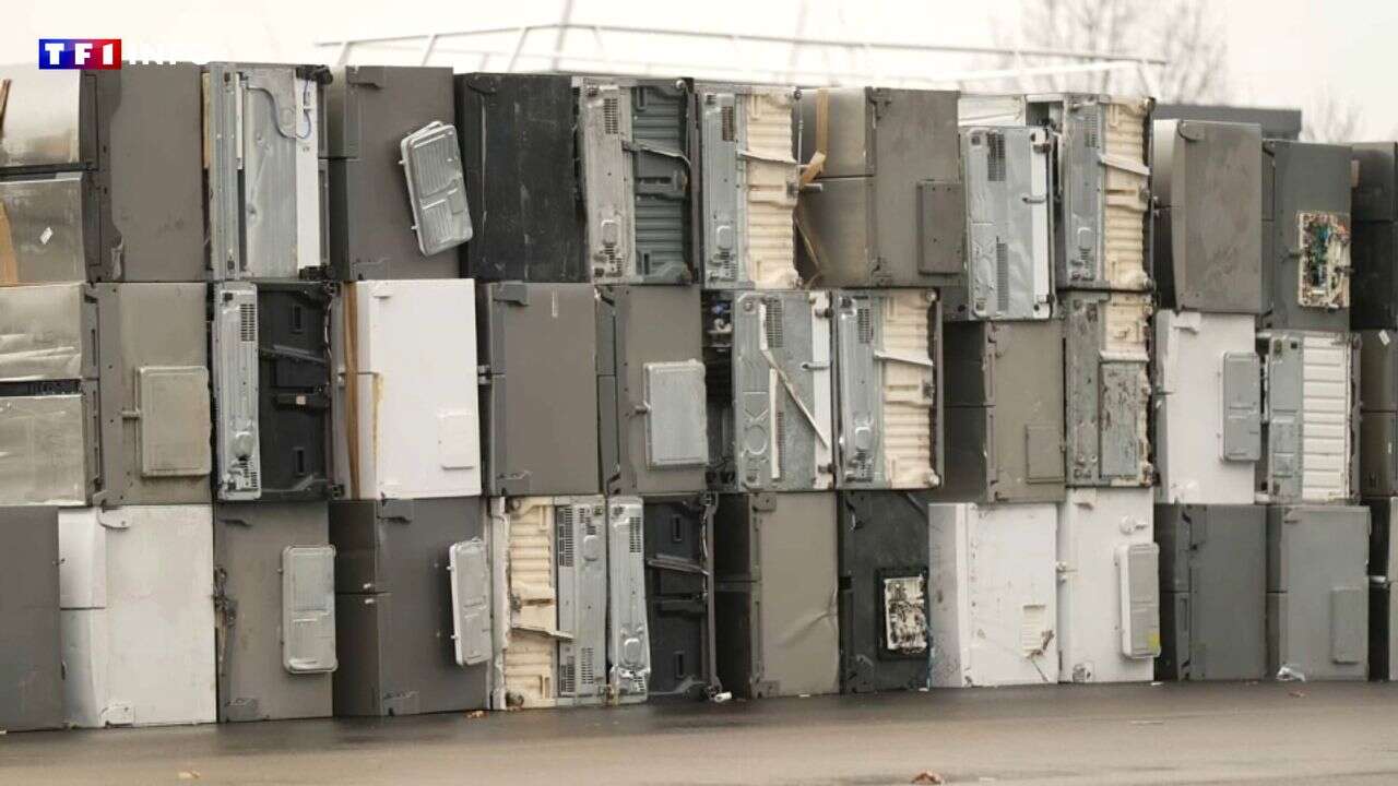 VIDÉO - Dans cette usine du Maine-et-Loire, on désintègre 110 frigos à l'heure