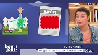 Votre argent : Budget, la chasse aux niches fiscales