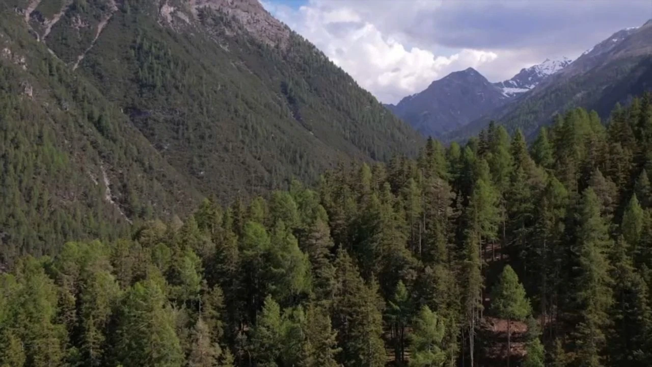 VIDÉO - Suisse : plongée au cœur du parc des Grisons, le royaume de la nature