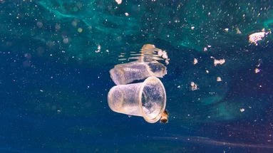 VÉRIF' - 90% des déchets plastiques dans les océans proviennent-ils vraiment de 10 fleuves d'Asie et d'Afrique ?