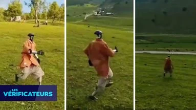 VÉRIF' - Cette vidéo d'un 