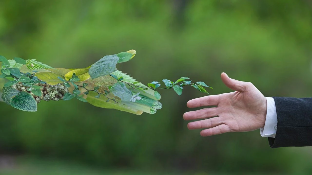 Écologie : la transformation radicale des entreprises, une chimère ?